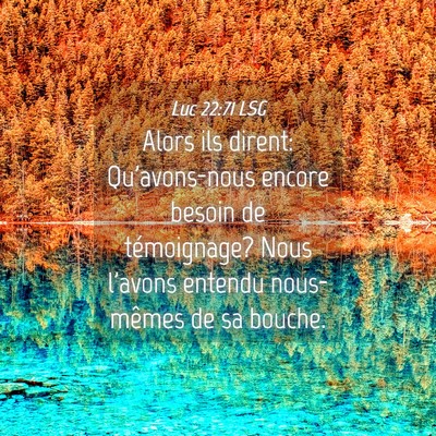 Picture 04 - Luc 22:71 LSG - Alors ils dirent: Qu'avons-nous encore besoin de - Bible Verse Picture