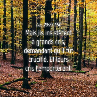 Picture 04 - Luc 23:23 LSG - Mais ils insistèrent à grands cris, demandant - Bible Verse Picture