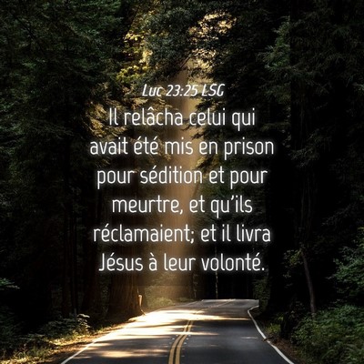 Picture 04 - Luc 23:25 LSG - Il relâcha celui qui avait été mis en prison - Bible Verse Picture