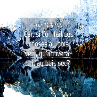 Picture 04 - Luc 23:31 LSG - Car, si l'on fait ces choses au bois vert, - Bible Verse Picture
