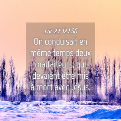 Picture 04 - Luc 23:32 LSG - On conduisait en même temps deux malfaiteurs, - Bible Verse Picture