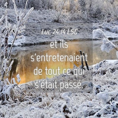 Picture 04 - Luc 24:14 LSG - et ils s'entretenaient de tout ce qui s'était - Bible Verse Picture