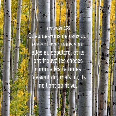 Picture 04 - Luc 24:24 LSG - Quelques-uns de ceux qui étaient avec nous sont - Bible Verse Picture