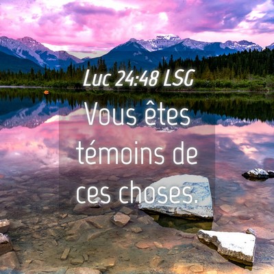 Picture 04 - Luc 24:48 LSG - Vous êtes témoins de ces - Bible Verse Picture