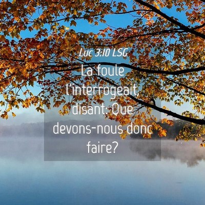 Picture 04 - Luc 3:10 LSG - La foule l'interrogeait, disant: Que devons-nous - Bible Verse Picture
