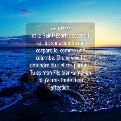 Picture 04 - Luc 3:22 LSG - et le Saint-Esprit descendit sur lui sous une - Bible Verse Picture