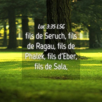 Picture 04 - Luc 3:35 LSG - fils de Seruch, fils de Ragau, fils de Phalek, - Bible Verse Picture