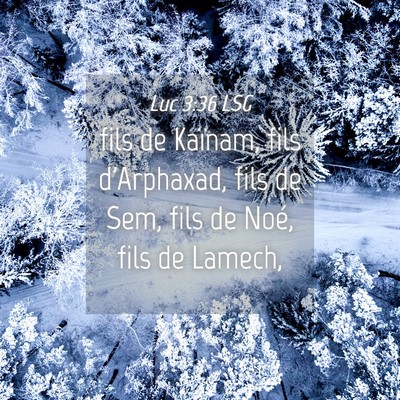Picture 04 - Luc 3:36 LSG - fils de Kaïnam, fils d'Arphaxad, fils de Sem, - Bible Verse Picture