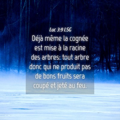 Picture 04 - Luc 3:9 LSG - Déjà même la cognée est mise à la racine des - Bible Verse Picture