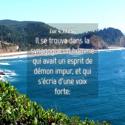 Picture 04 - Luc 4:33 LSG - Il se trouva dans la synagogue un homme qui avait - Bible Verse Picture