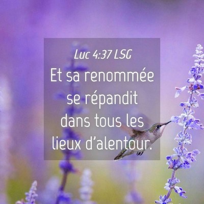 Picture 04 - Luc 4:37 LSG - Et sa renommée se répandit dans tous les lieux - Bible Verse Picture