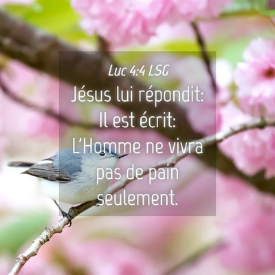 Picture 04 - Luc 4:4 LSG - Jésus lui répondit: Il est écrit: L'Homme ne - Bible Verse Picture