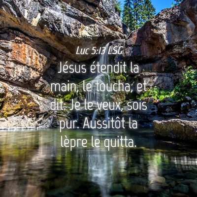 Picture 04 - Luc 5:13 LSG - Jésus étendit la main, le toucha, et dit: Je le - Bible Verse Picture