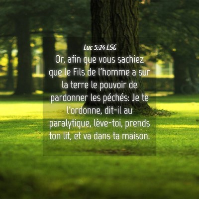 Picture 04 - Luc 5:24 LSG - Or, afin que vous sachiez que le Fils de l'homme - Bible Verse Picture