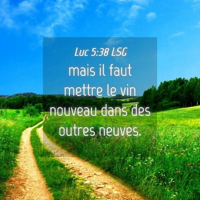 Picture 04 - Luc 5:38 LSG - mais il faut mettre le vin nouveau dans des - Bible Verse Picture