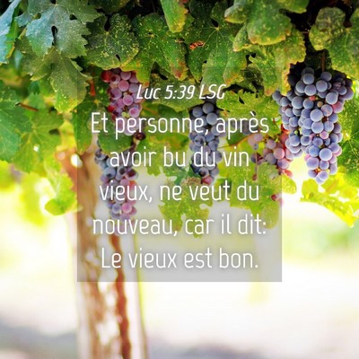 Picture 04 - Luc 5:39 LSG - Et personne, après avoir bu du vin vieux, ne - Bible Verse Picture