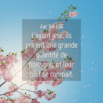 Picture 04 - Luc 5:6 LSG - L'ayant jeté, ils prirent une grande quantité - Bible Verse Picture