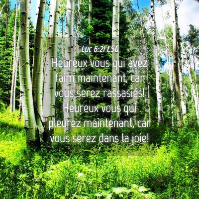 Picture 04 - Luc 6:21 LSG - Heureux vous qui avez faim maintenant, car vous - Bible Verse Picture