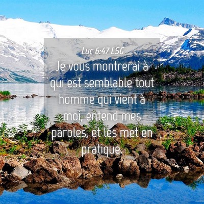 Picture 04 - Luc 6:47 LSG - Je vous montrerai à qui est semblable tout homme - Bible Verse Picture