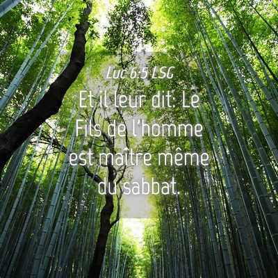 Picture 04 - Luc 6:5 LSG - Et il leur dit: Le Fils de l'homme est maître - Bible Verse Picture