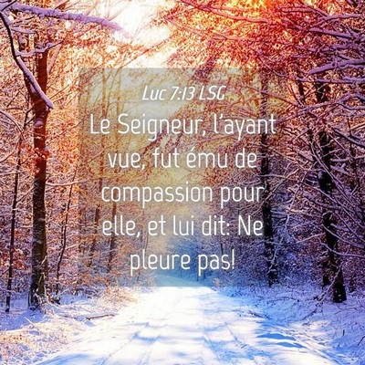 Picture 04 - Luc 7:13 LSG - Le Seigneur, l'ayant vue, fut ému de compassion - Bible Verse Picture