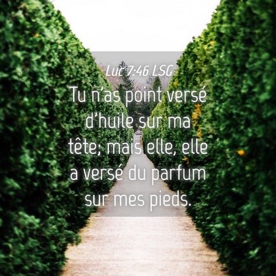 Picture 04 - Luc 7:46 LSG - Tu n'as point versé d'huile sur ma tête; mais - Bible Verse Picture