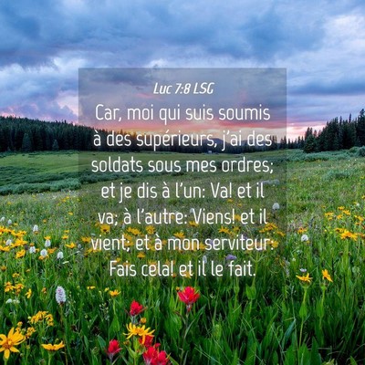 Picture 04 - Luc 7:8 LSG - Car, moi qui suis soumis à des supérieurs, j'ai - Bible Verse Picture