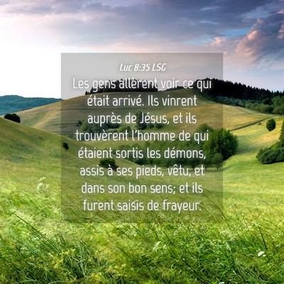 Picture 04 - Luc 8:35 LSG - Les gens allèrent voir ce qui était arrivé. - Bible Verse Picture