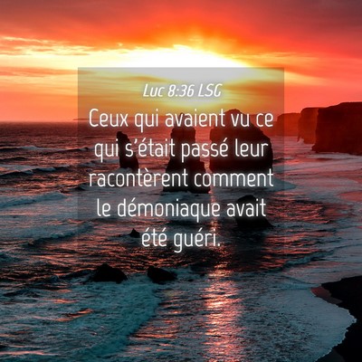 Picture 04 - Luc 8:36 LSG - Ceux qui avaient vu ce qui s'était passé leur - Bible Verse Picture