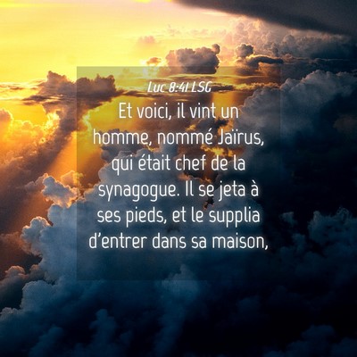 Picture 04 - Luc 8:41 LSG - Et voici, il vint un homme, nommé Jaïrus, qui - Bible Verse Picture