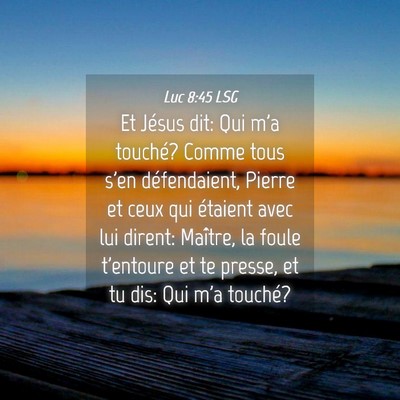 Picture 04 - Luc 8:45 LSG - Et Jésus dit: Qui m'a touché? Comme tous s'en - Bible Verse Picture