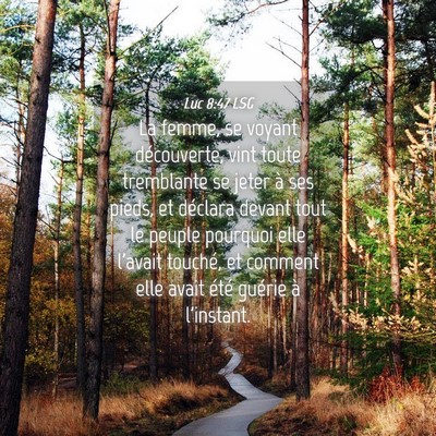Picture 04 - Luc 8:47 LSG - La femme, se voyant découverte, vint toute - Bible Verse Picture