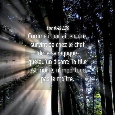 Picture 04 - Luc 8:49 LSG - Comme il parlait encore, survint de chez le chef - Bible Verse Picture
