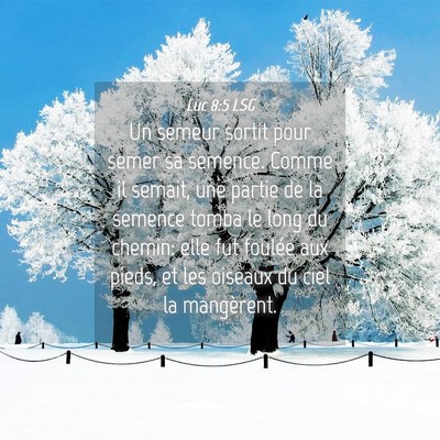 Picture 04 - Luc 8:5 LSG - Un semeur sortit pour semer sa semence. Comme il - Bible Verse Picture