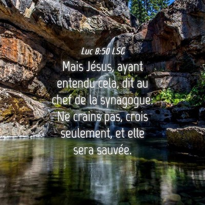 Picture 04 - Luc 8:50 LSG - Mais Jésus, ayant entendu cela, dit au chef de - Bible Verse Picture