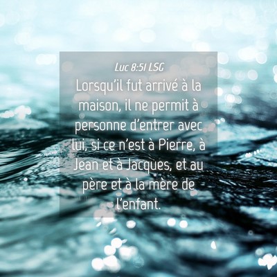 Picture 04 - Luc 8:51 LSG - Lorsqu'il fut arrivé à la maison, il ne permit - Bible Verse Picture