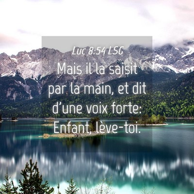 Picture 04 - Luc 8:54 LSG - Mais il la saisit par la main, et dit d'une voix - Bible Verse Picture