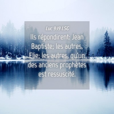Picture 04 - Luc 9:19 LSG - Ils répondirent: Jean Baptiste; les autres, - Bible Verse Picture