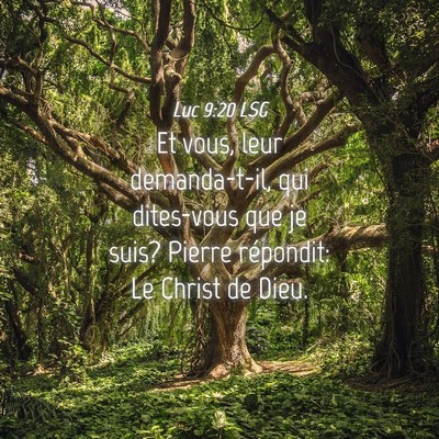 Picture 04 - Luc 9:20 LSG - Et vous, leur demanda-t-il, qui dites-vous que je - Bible Verse Picture
