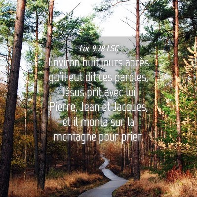 Picture 04 - Luc 9:28 LSG - Environ huit jours après qu'il eut dit ces - Bible Verse Picture
