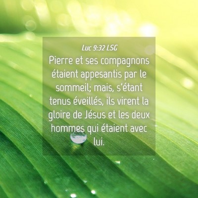 Picture 04 - Luc 9:32 LSG - Pierre et ses compagnons étaient appesantis par - Bible Verse Picture
