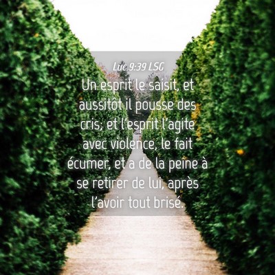 Picture 04 - Luc 9:39 LSG - Un esprit le saisit, et aussitôt il pousse des - Bible Verse Picture