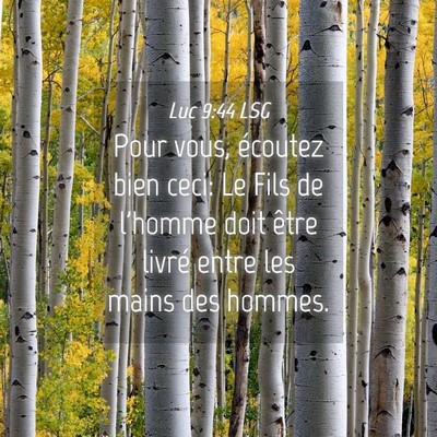 Picture 04 - Luc 9:44 LSG - Pour vous, écoutez bien ceci: Le Fils de l'homme - Bible Verse Picture