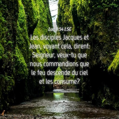 Picture 04 - Luc 9:54 LSG - Les disciples Jacques et Jean, voyant cela, - Bible Verse Picture