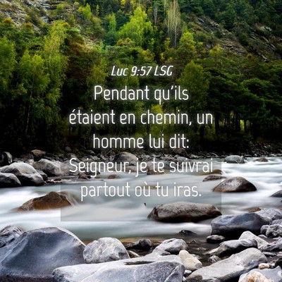 Picture 04 - Luc 9:57 LSG - Pendant qu'ils étaient en chemin, un homme lui - Bible Verse Picture