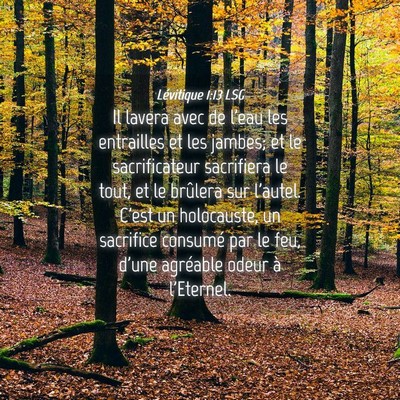 Picture 04 - Lévitique 1:13 LSG - Il lavera avec de l'eau les entrailles et les - Bible Verse Picture