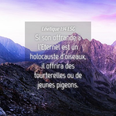 Picture 04 - Lévitique 1:14 LSG - Si son offrande à l'Eternel est un holocauste - Bible Verse Picture