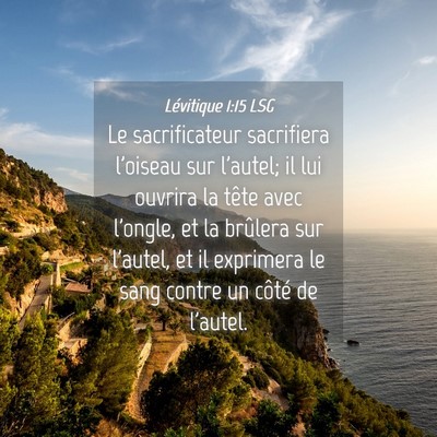 Picture 04 - Lévitique 1:15 LSG - Le sacrificateur sacrifiera l'oiseau sur l'autel; - Bible Verse Picture