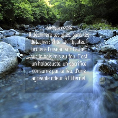 Picture 04 - Lévitique 1:17 LSG - Il déchirera les ailes, sans les détacher; et - Bible Verse Picture