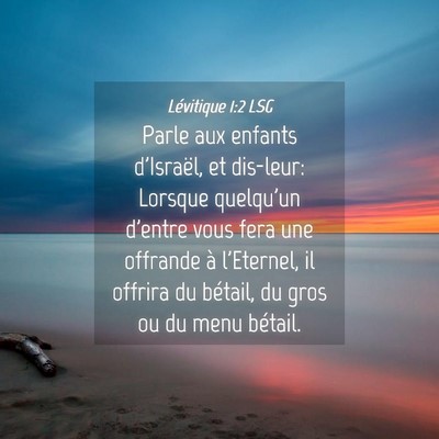 Picture 04 - Lévitique 1:2 LSG - Parle aux enfants d'Israël, et dis-leur: Lorsque - Bible Verse Picture